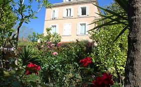 Hôtel Les Palmiers